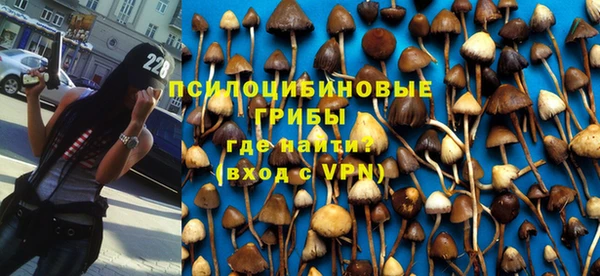 таблы Пролетарск