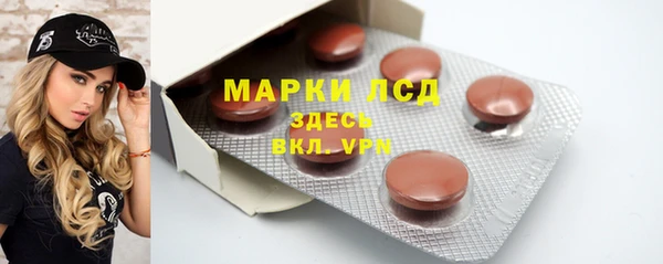 прущие грибы Покачи