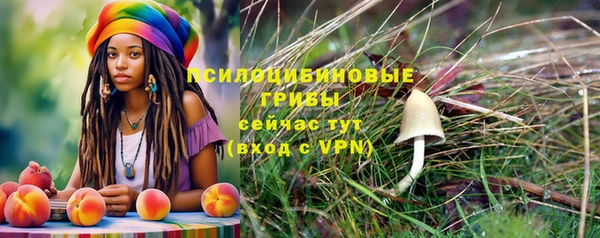 дмт Приозерск
