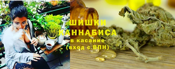 индика Горно-Алтайск