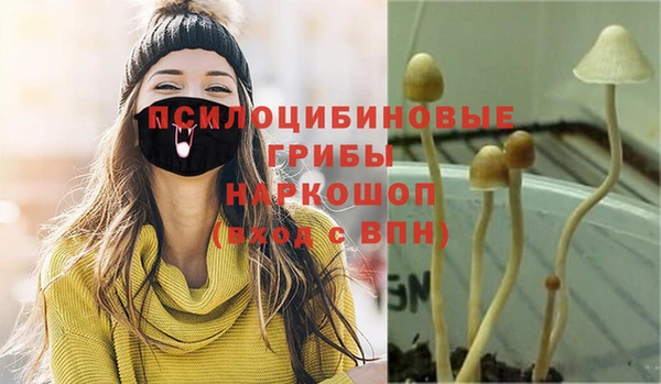 прущие грибы Покачи