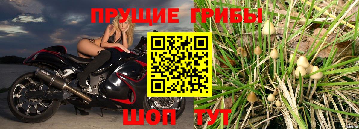 Сафоново  Псилоцибиновые грибы Magic Shrooms  Вход с VPN  Псилоцибиновые грибы прущие грибы 