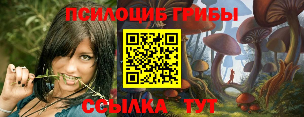 Галлюциногенные грибы мицелий Сафоново